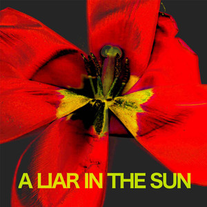 A Liar In The Sun