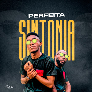 Perfeita Sintonia (Explicit)