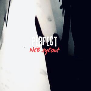 Perfect :) (feat. NCB syCout) (Explicit)