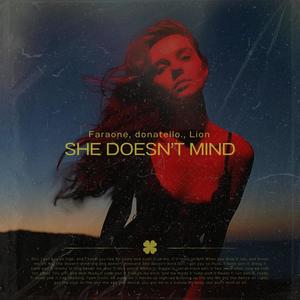 She Doesn't Mind (Afro House)