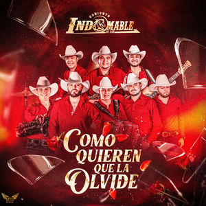 Como Quieren Que La Olvide