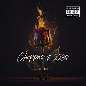 Choppas & 223s (feat. Ai3zay) [Explicit]