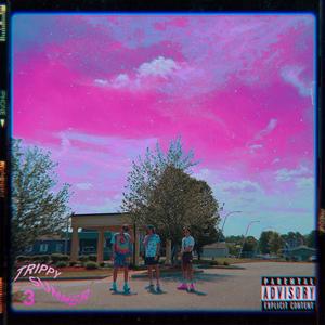 DIVE IN(feat. Wayne the Uno & Solar Sage) (Explicit)