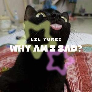 Why Am I Sad? (Explicit)