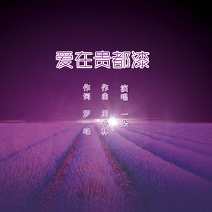 爱在贵都漆
