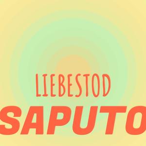 Liebestod Saputo