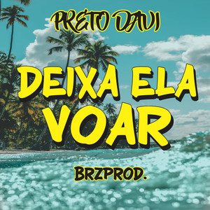 Deixa Ela Voar (Explicit)