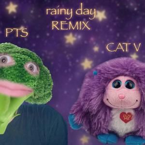 Rainy Day (PTS REMIX) [Explicit]