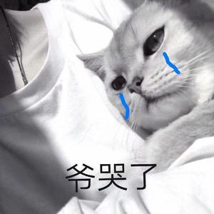 微信爱 (COVER版)