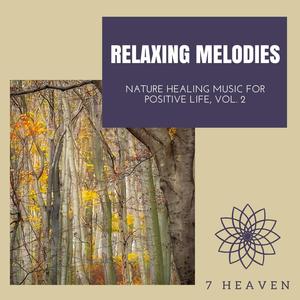 The Healing Crystal (Original Mix)