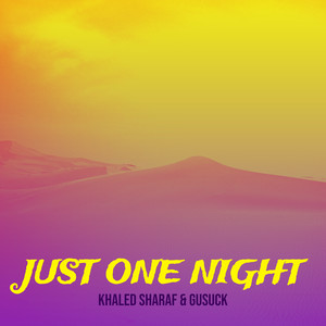 Just One Night