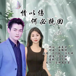 情已伤何必挽回 (伴奏)