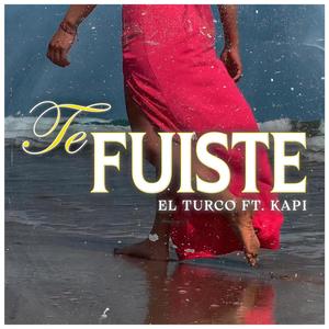 Te fuiste (feat. Kapi)