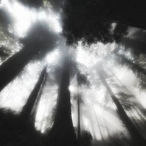 ss (Instrumental Slowed)