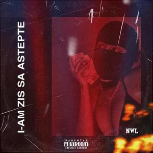 I-AM ZIS SA ASTEPTE (feat. BDL GABI) (Explicit)