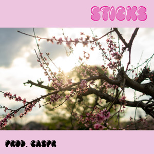 Sticks (Explicit)