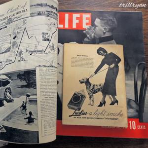 seen the life (Explicit)