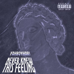 Never Knew This Feeling (Explicit)