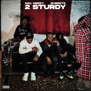 2 Sturdy (Explicit)