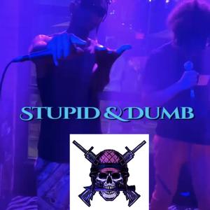 STUPID AND DUMB (Explicit)