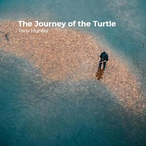 The Journey of the Turtle