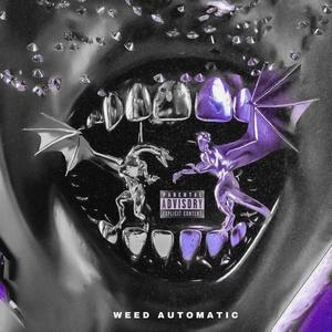 **** AUTOMATIC (Explicit)