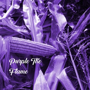 Purple The Flame