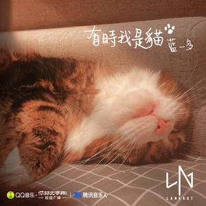 有时我是猫