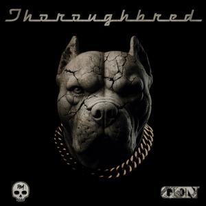 THOROUGHBRED (Explicit)