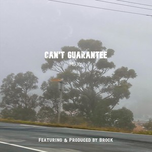 Can't Guarantee (feat. Brock)