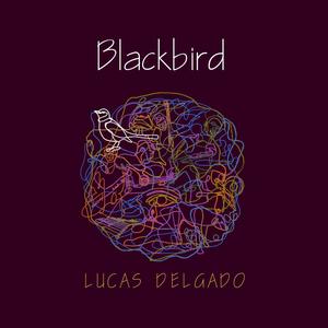Blackbird(feat. Rita Payés & Juan Pastor)