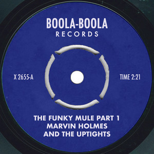 The Funky Mule Part 1