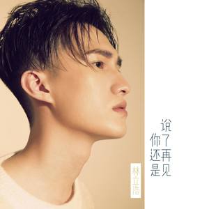 你还是说了再见 (伴奏)封面