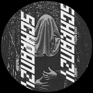 Veil Of Echoes (Original Mix)