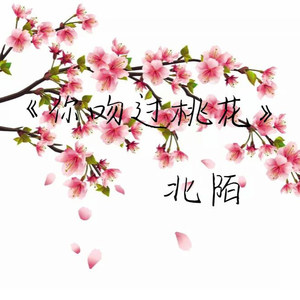 你吻过桃花