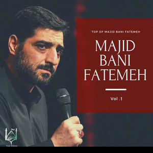 Top Of Majid Bani Fatemeh, Vol. 1