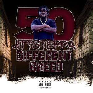 Different Breed (Explicit)