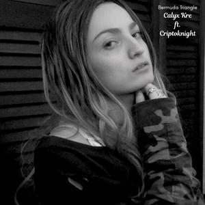 Bermuda Triangle (feat. Criptoknight)