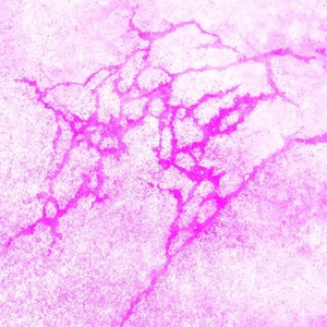 Dopamine (Dopamine|Explicit)