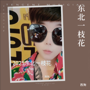 这个杀手不太冷静