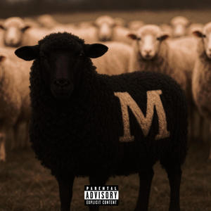 CP3 (Explicit)