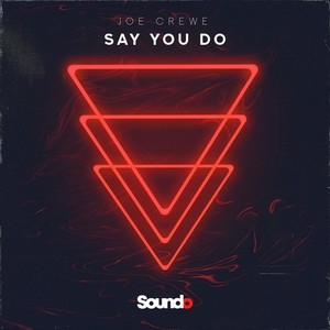 Say You Do