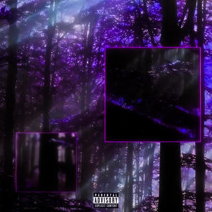 nothing (feat. Vermani) (Explicit)