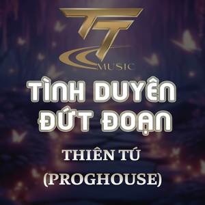 TÌNH DUYÊN ĐỨT ĐOẠN - DUCK REMIX (PROGHOUSE REMIX)