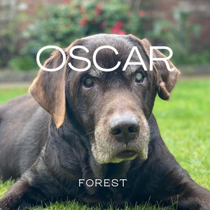 Oscar