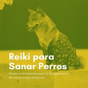 Reiki para Sanar Perros: Música Instrumental para la Recuperación de los Animales Enfermos