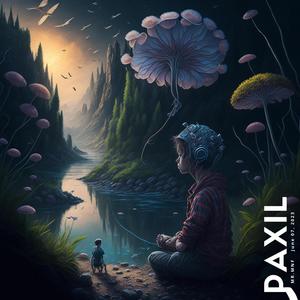 Paxil