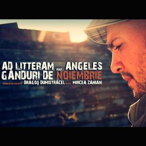 Gânduri de Noiembrie(feat. Angeles) (Phosillah remix)