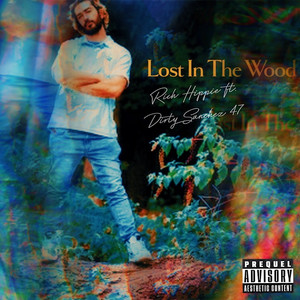 Lost In The Wood (feat. Dirty Sanchez 47) (Explicit)