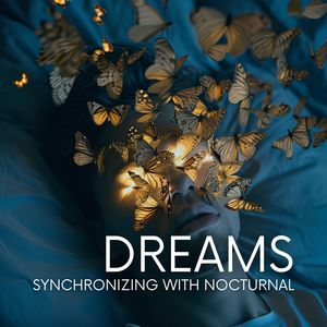 Synchronizing with Nocturnal Dreams (Unlocking the Ideal Frequencies for Deep REM Sleep)